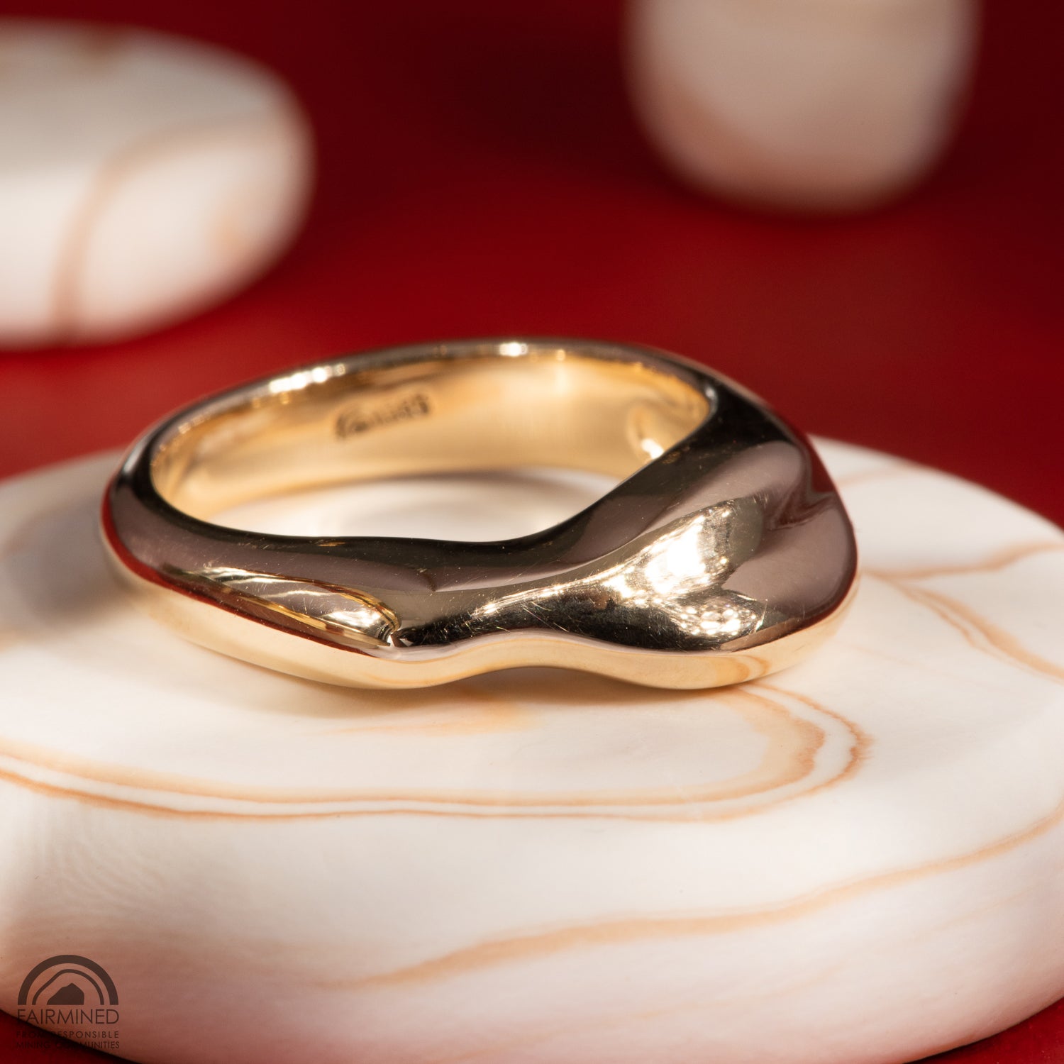 Evolve Ring - Malleable Jewellers