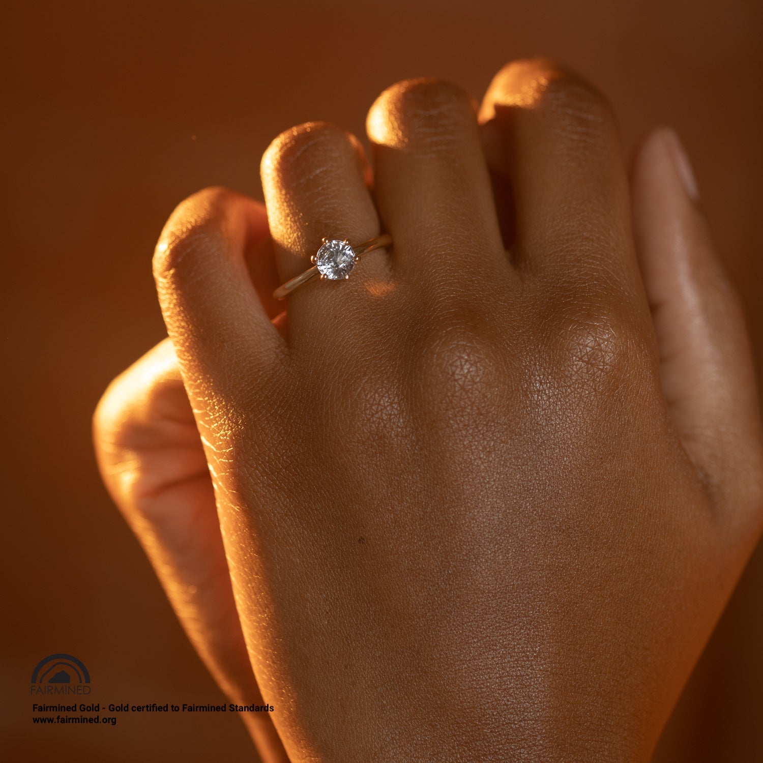 Glacier Solitaire - Malleable Jewellers