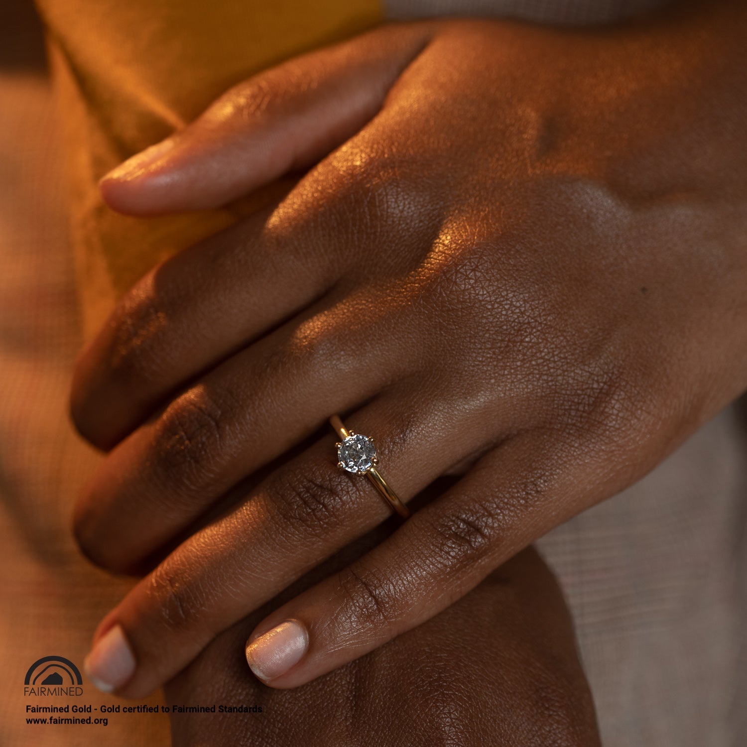 Glacier Solitaire - Malleable Jewellers