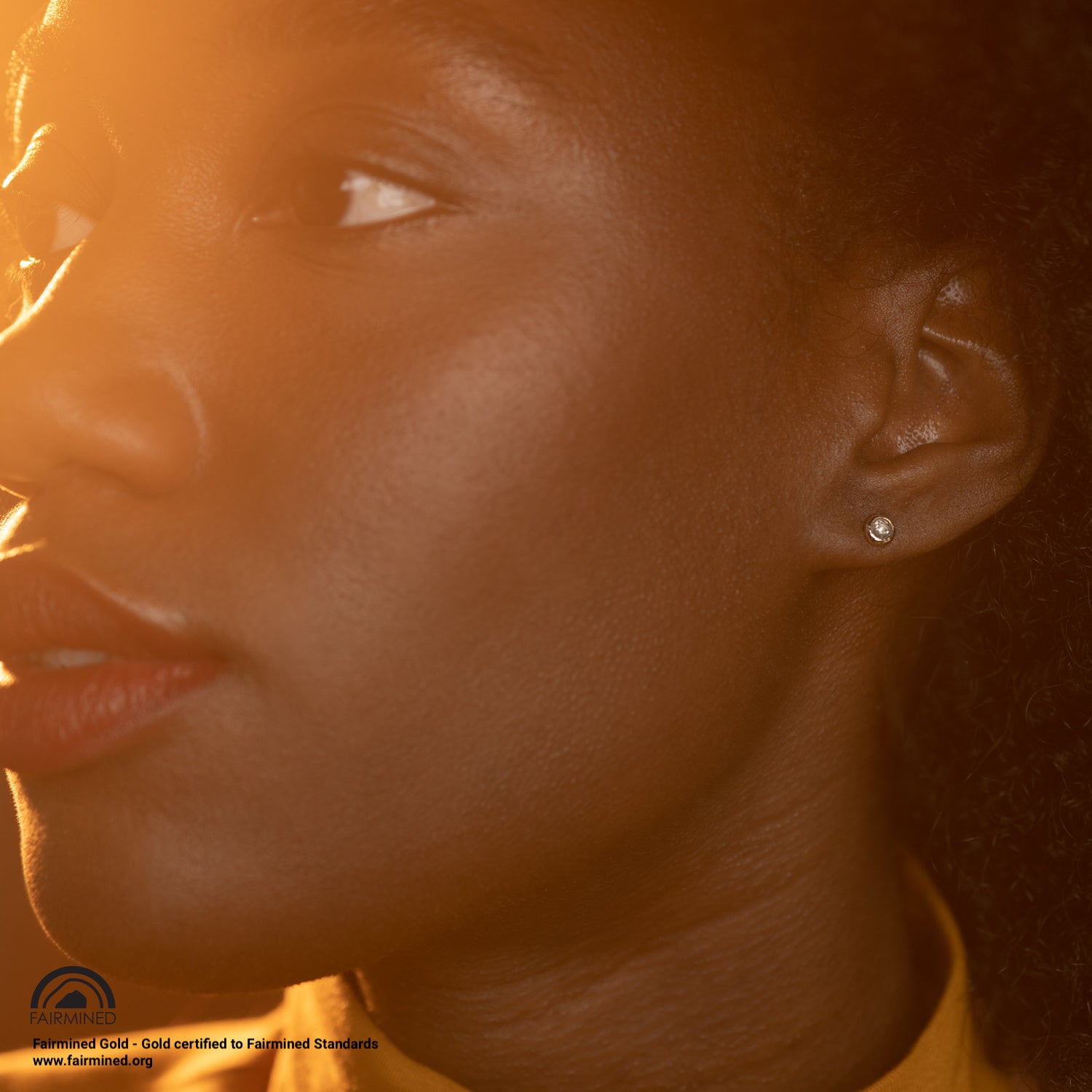 New Moon Studs - Malleable Jewellers